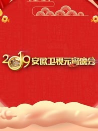 2019安徽卫视元宵晚会